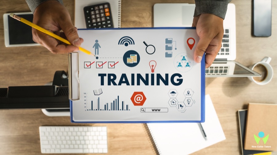 Work, Training & Exposure Pathways